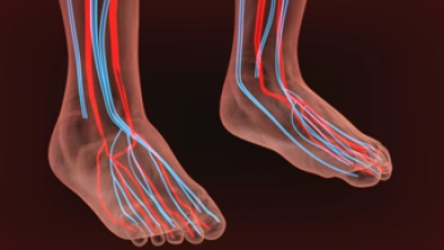 Symptoms and Causes of Poor Foot Circulation